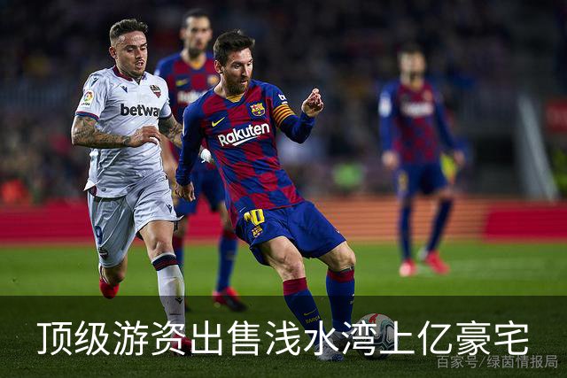 顶级游资出售浅水湾上亿豪宅